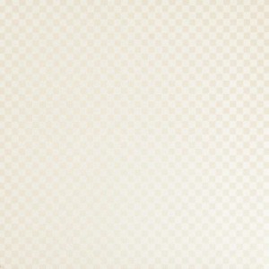 Gạch lát sàn Trường Thịnh GENESIS SERIES Y96505P